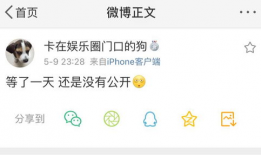 微信吃瓜爆料付费安全吗,安全性分析及风险预警